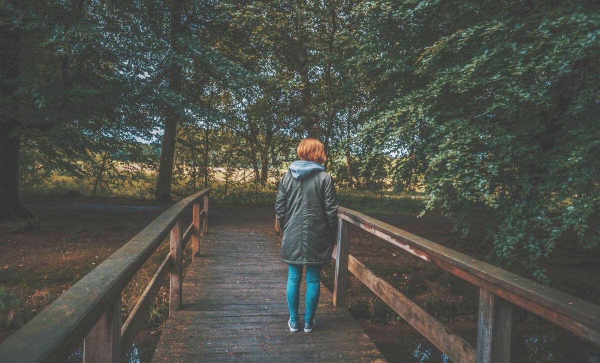 A walker on a wooden bridge in a green forest
