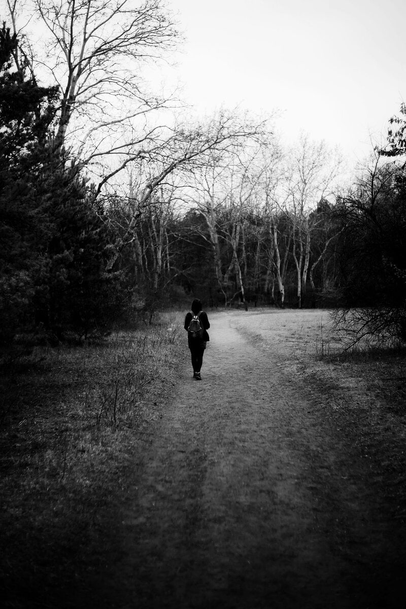 A solitary walker on a tree-lined path